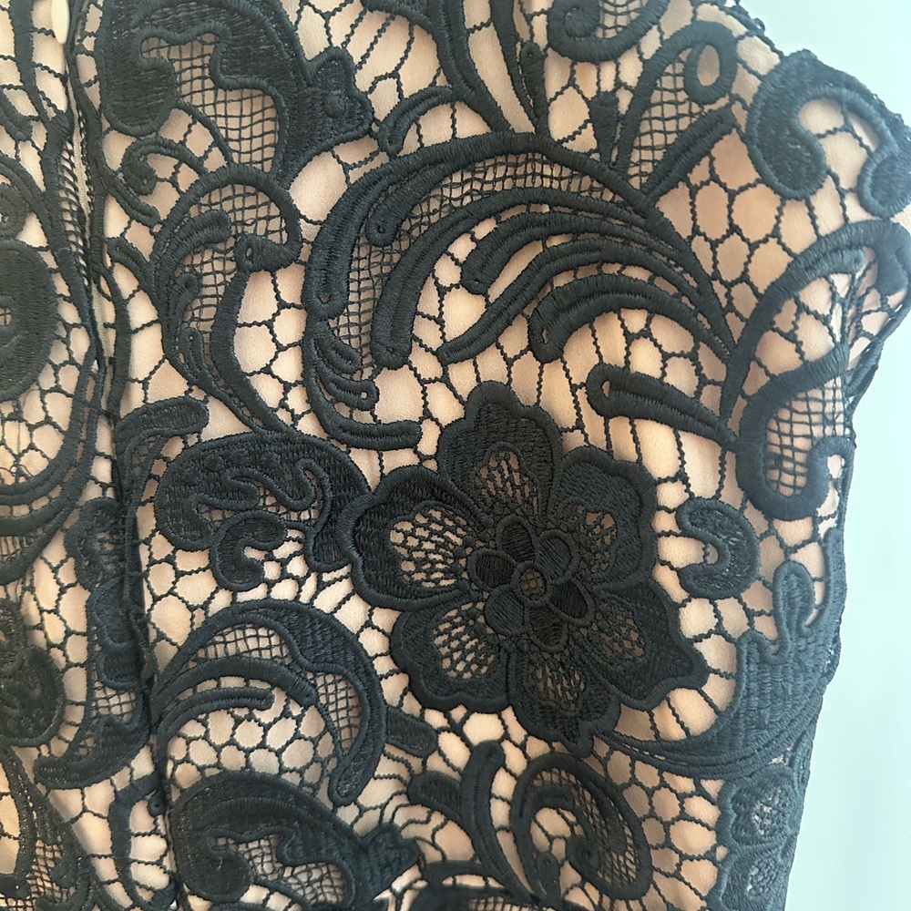 Dress the Population Black and Nude Lace Dress - Picture 8 of 8